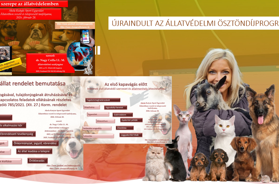 oktatás az Akela Kutyaiskolában