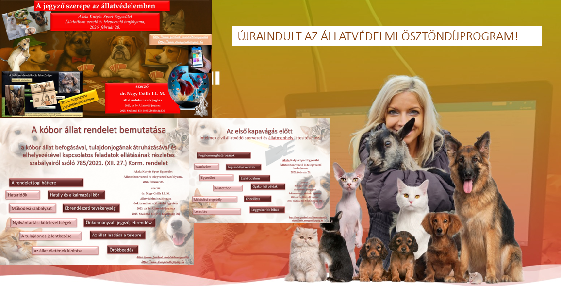 oktatás az Akela Kutyaiskolában