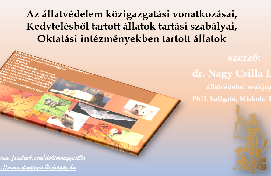 élő jog, élő párbeszéd a Pannon Egyetemen