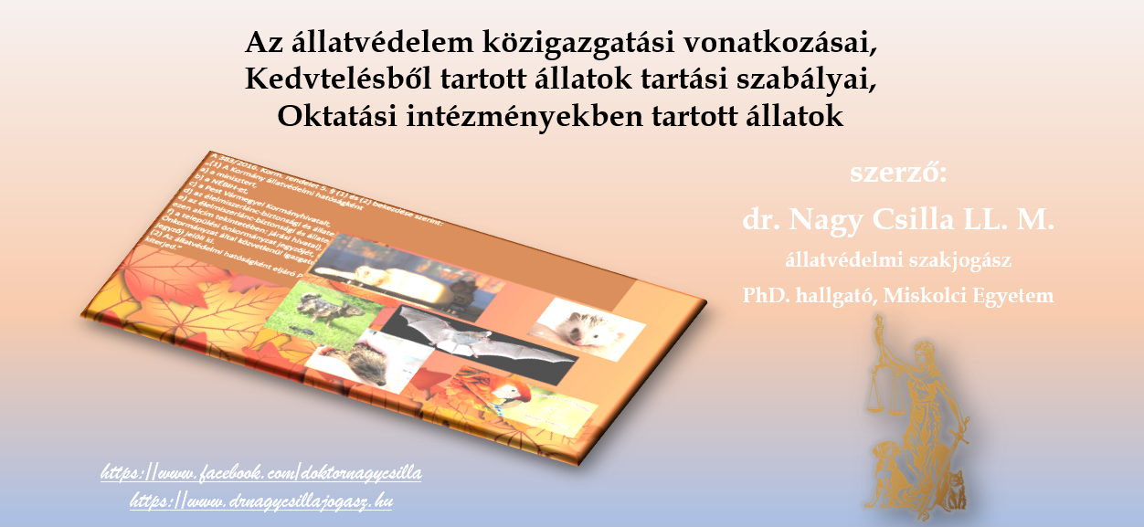 élő jog, élő párbeszéd a Pannon Egyetemen