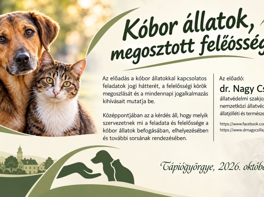 2026 oktober tapiogyorgye